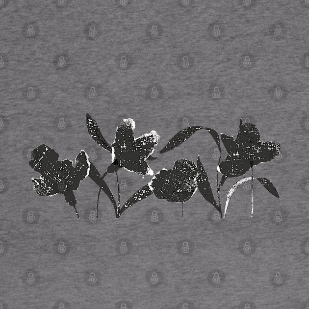 Wall Flowers BW2 -Full Size Image by Paloma Navio